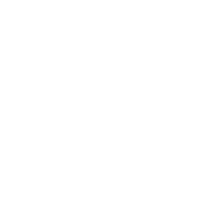 Robert Bosch Stiftung